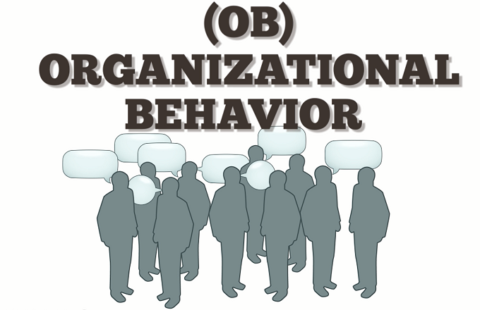 organizational behavior group assignment